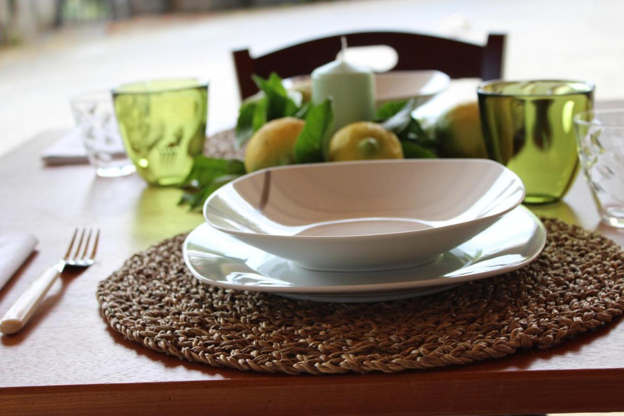 La Collina Bed & Breakfast Santa Maria Del Cedro Ngoại thất bức ảnh